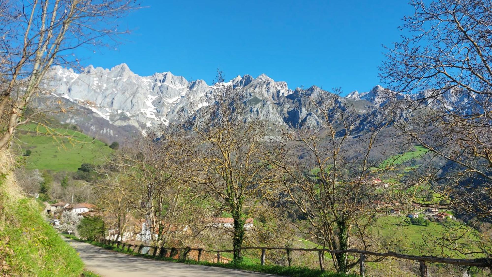 Apartamentos Rurales Los Picos De Redo Camaleño Esterno foto